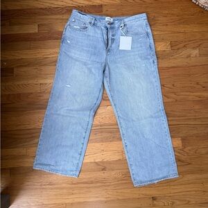 NWT PISTOLA BOBBIE ANKLE MID RISE LOOSE CARPENTER IN ATWATER VINTAGE